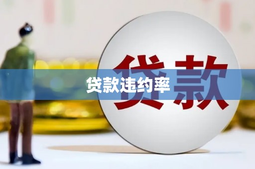泾川贷款违约率