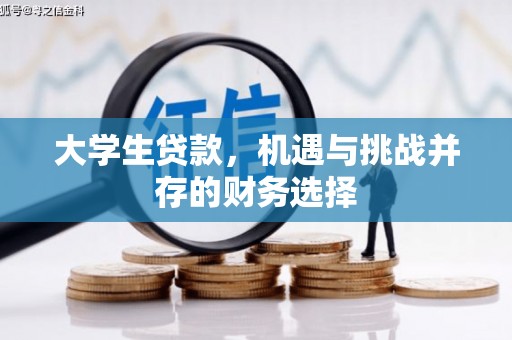 泾川大学生贷款，机遇与挑战并存的财务选择