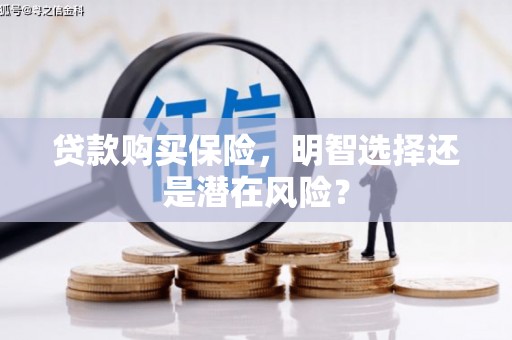 泾川贷款购买保险，明智选择还是潜在风险？