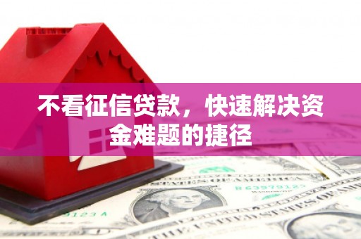 泾川不看征信贷款，快速解决资金难题的捷径