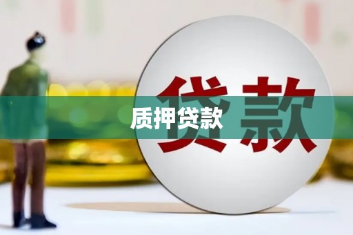 泾川质押贷款