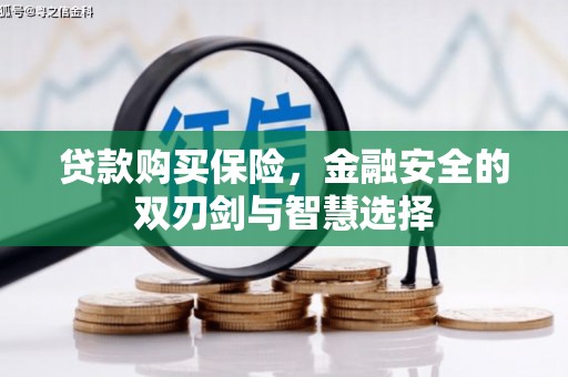 泾川贷款购买保险，金融安全的双刃剑与智慧选择