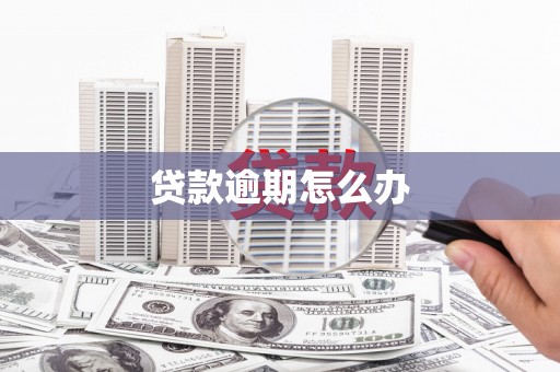 泾川贷款逾期怎么办