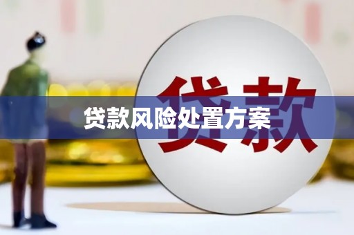 泾川贷款风险处置方案