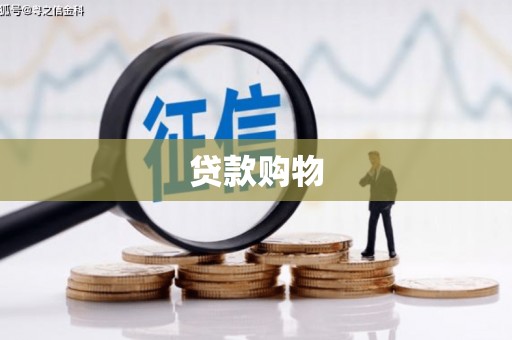 泾川贷款购物