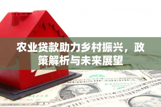 泾川农业贷款助力乡村振兴，政策解析与未来展望