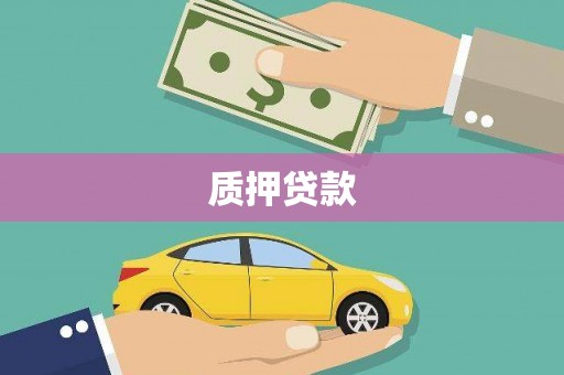 泾川质押贷款