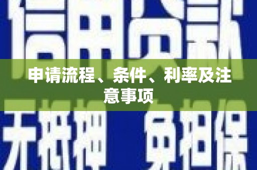 泾川申请流程、条件、利率及注意事项