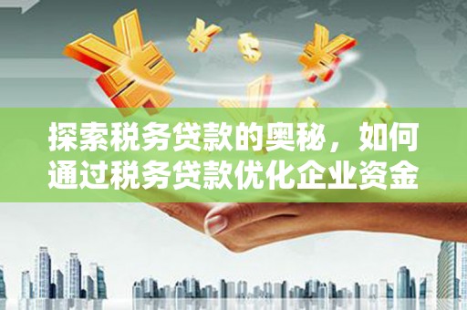 泾川探索税务贷款的奥秘，如何通过税务贷款优化企业资金流
