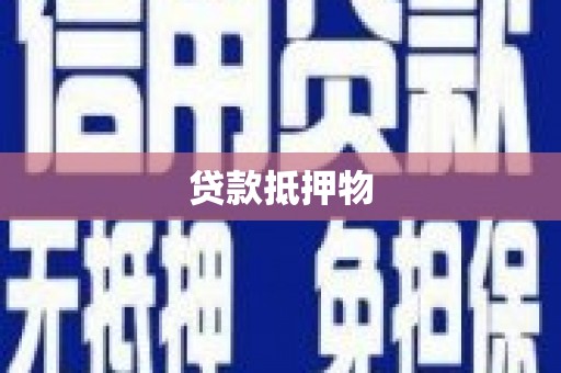 泾川贷款抵押物