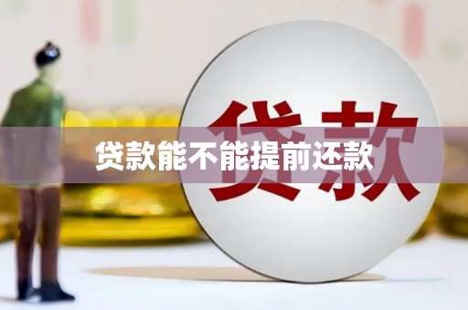 泾川贷款能不能提前还款