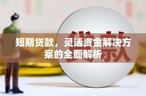 泾川短期贷款，灵活资金解决方案的全面解析