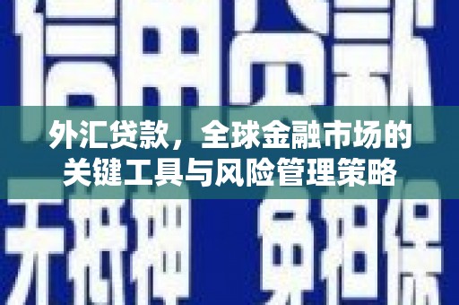 泾川外汇贷款，全球金融市场的关键工具与风险管理策略