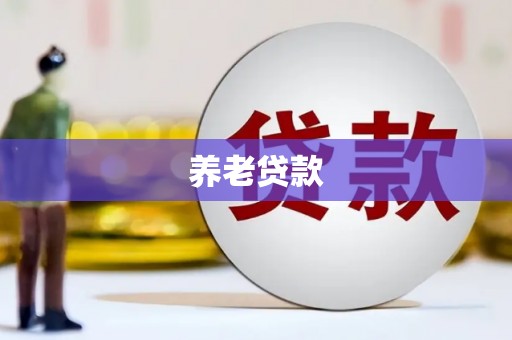 泾川养老贷款