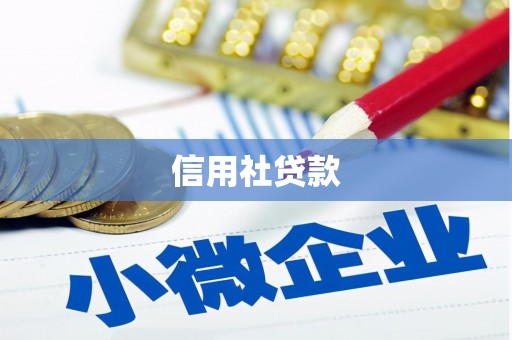 泾川信用社贷款