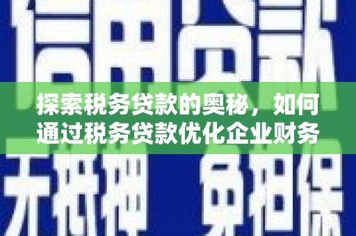 泾川探索税务贷款的奥秘，如何通过税务贷款优化企业财务