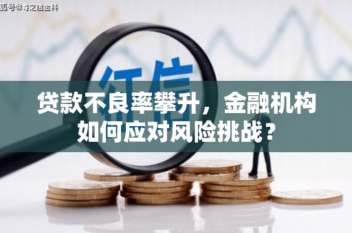 泾川贷款不良率攀升，金融机构如何应对风险挑战？