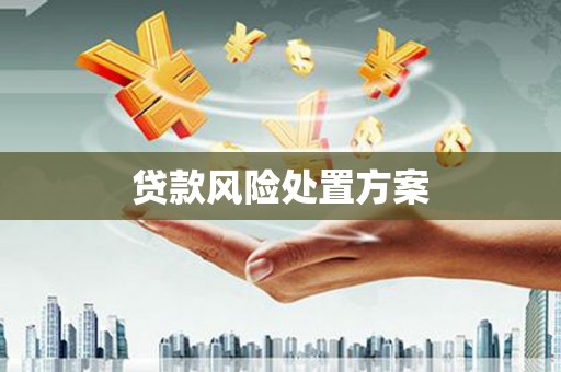 泾川贷款风险处置方案