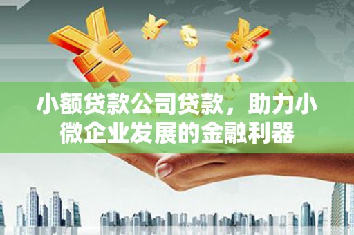 泾川小额贷款公司贷款，助力小微企业发展的金融利器