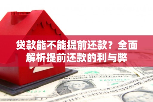 泾川贷款能不能提前还款？全面解析提前还款的利与弊