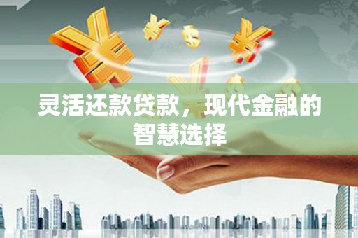 泾川灵活还款贷款，现代金融的智慧选择