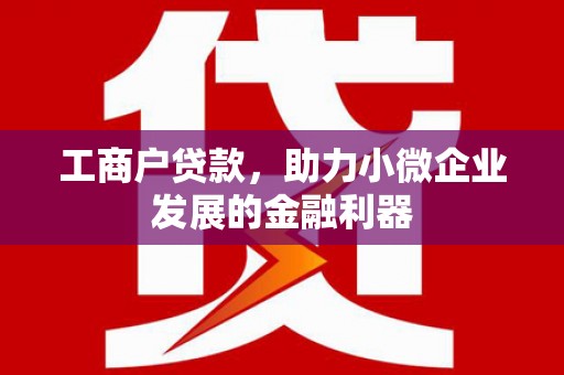 泾川工商户贷款，助力小微企业发展的金融利器