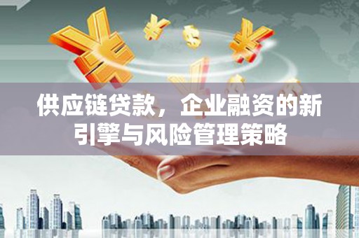 泾川供应链贷款，企业融资的新引擎与风险管理策略