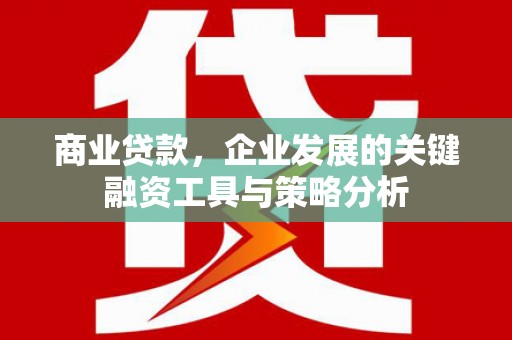 泾川商业贷款，企业发展的关键融资工具与策略分析