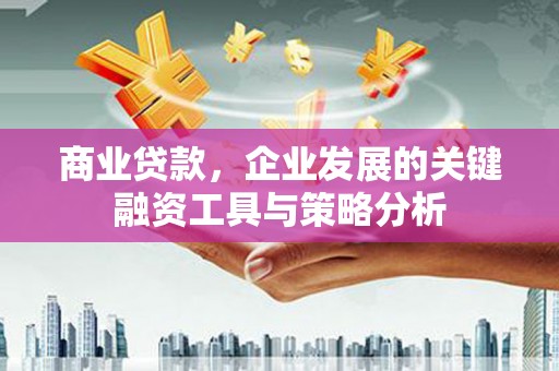 泾川商业贷款，企业发展的关键融资工具与策略分析