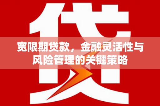 泾川宽限期贷款，金融灵活性与风险管理的关键策略