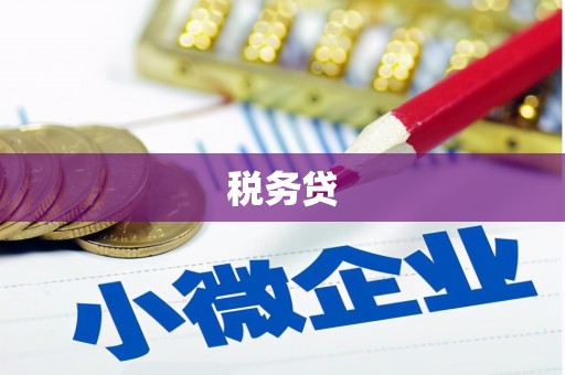 泾川税务贷