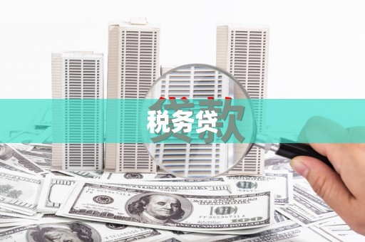 泾川税务贷