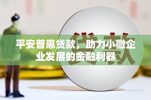 泾川平安普惠贷款，助力小微企业发展的金融利器