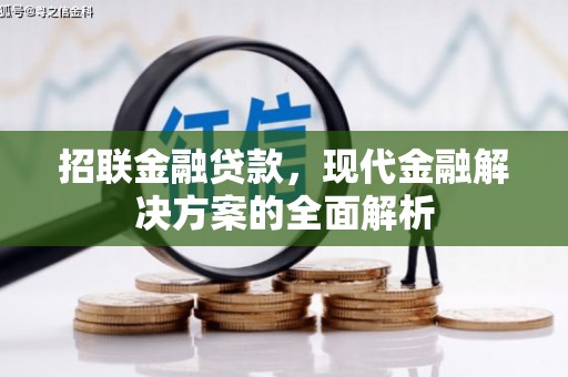泾川招联金融贷款，现代金融解决方案的全面解析