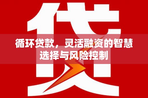 泾川循环贷款，灵活融资的智慧选择与风险控制
