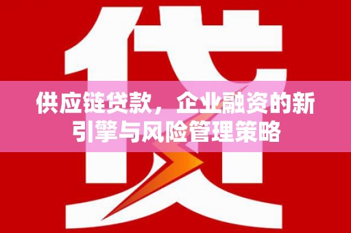 泾川供应链贷款，企业融资的新引擎与风险管理策略
