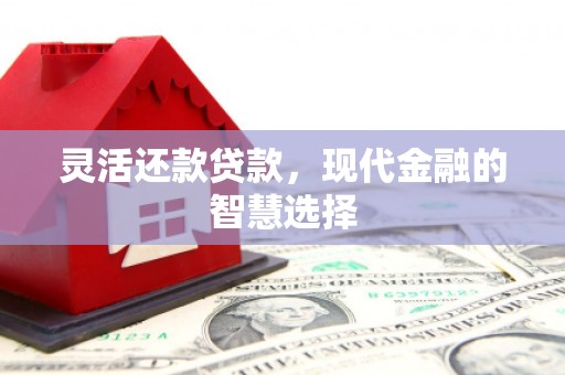 泾川灵活还款贷款，现代金融的智慧选择