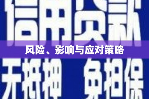 泾川风险、影响与应对策略