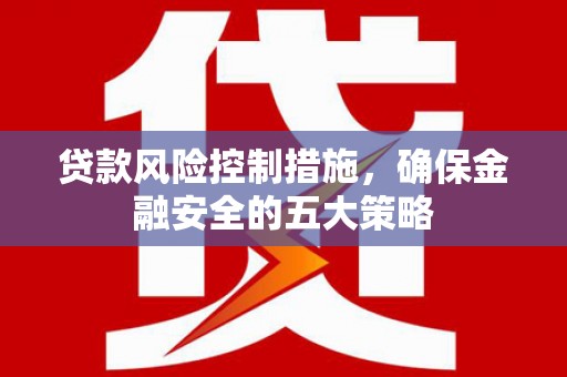泾川贷款风险控制措施，确保金融安全的五大策略