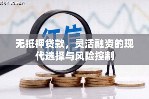 泾川无抵押贷款，灵活融资的现代选择与风险控制