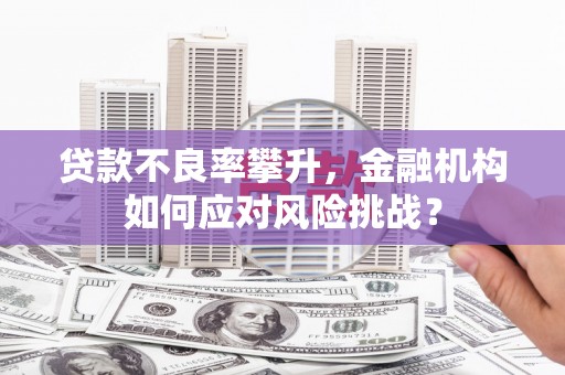 泾川贷款不良率攀升，金融机构如何应对风险挑战？