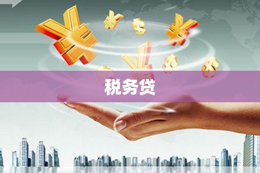 泾川税务贷
