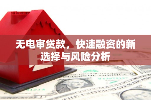 泾川无电审贷款，快速融资的新选择与风险分析