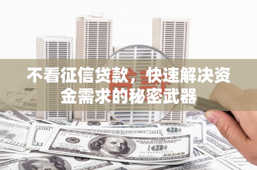 泾川不看征信贷款，快速解决资金需求的秘密武器