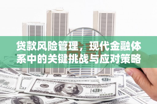 泾川贷款风险管理，现代金融体系中的关键挑战与应对策略