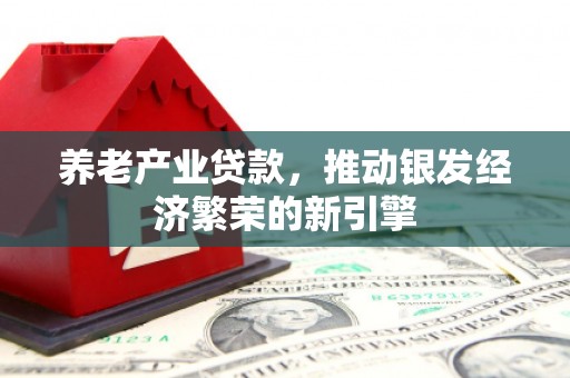 泾川养老产业贷款，推动银发经济繁荣的新引擎