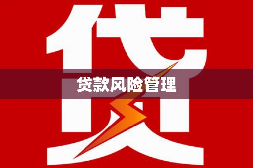 泾川贷款风险管理