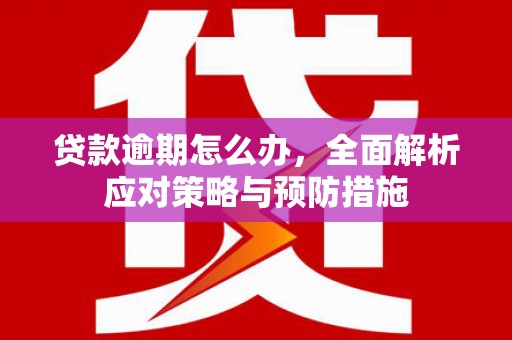 泾川贷款逾期怎么办，全面解析应对策略与预防措施