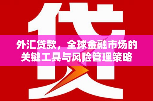 泾川外汇贷款，全球金融市场的关键工具与风险管理策略