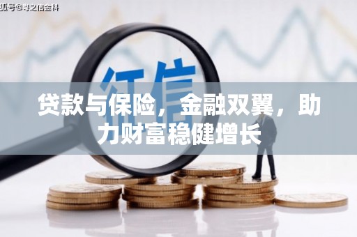 泾川贷款与保险，金融双翼，助力财富稳健增长